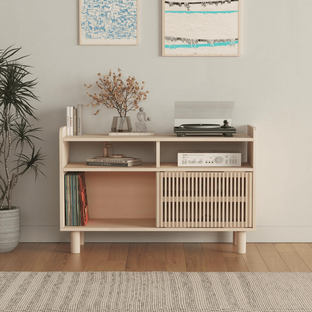 Minimalist Solid Pine TV Unit | Vinyl Record Storage Stand
